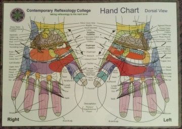 Hand Reflexology Charts